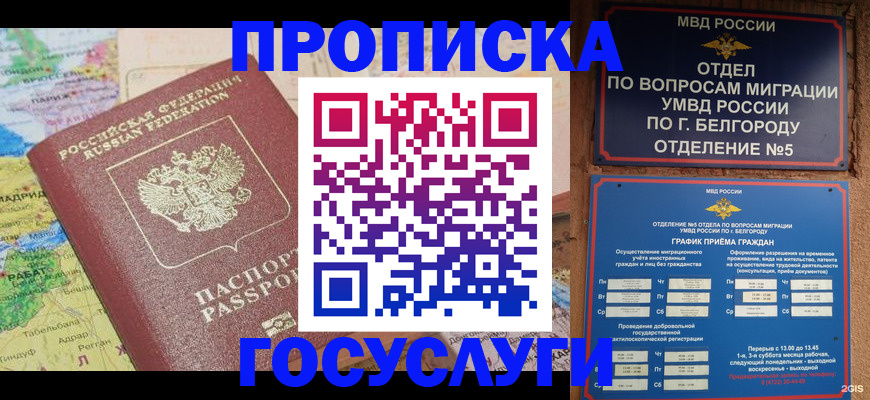 временная регистрация собственник в Димитровграде